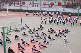 蔡依林演唱会被举报冲上热搜！机械蛇、公牛元素引争议