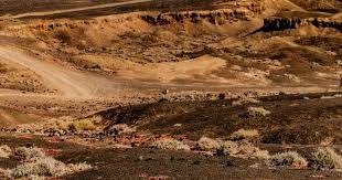 肉鸽村庄建设游戏《海岸桃源：文明之种》